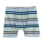 Kickee Pants Boy Boxer Brief Fairground Stripe