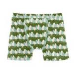 Kickee Pants Boy boxer Brief Moss Chicks