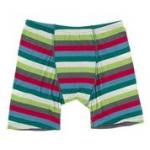 Kickee Pants Boy Boxer Brief 2020 Multi Stripe