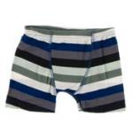 Kickee Pants Boy Boxer Brief Zoology Stripe