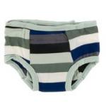 Kickee Pants Boy Training Underwear Print Zoology Stripe