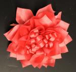 Haute Baby Coral Flower Clip Polly's Picnic VPP05